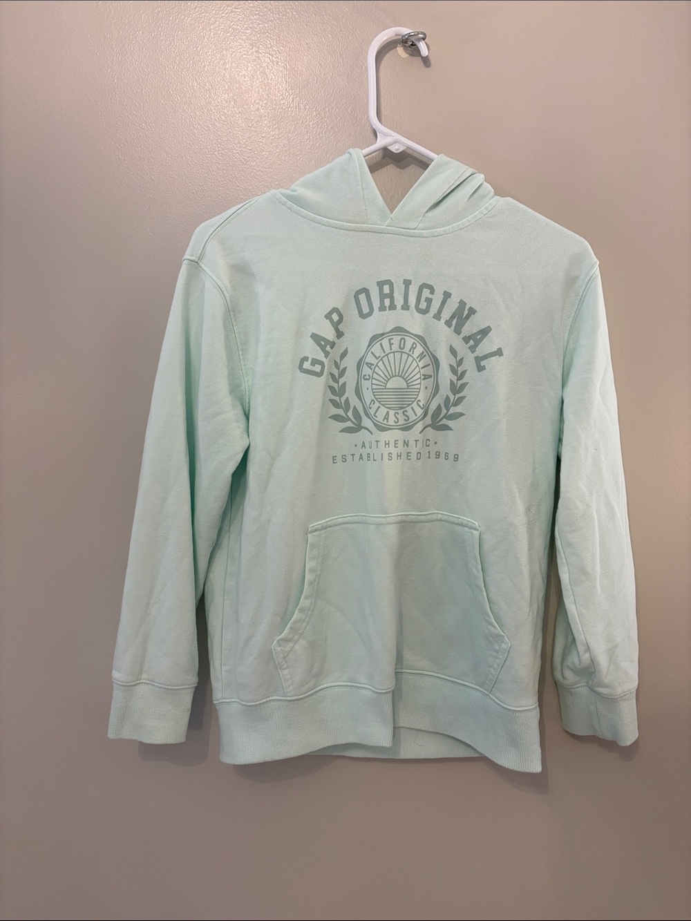 GAP Mint Green Logo Pullover Hoodie